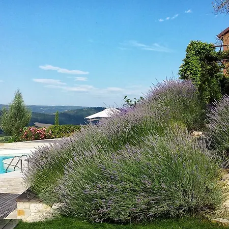 Bed & Breakfast Degli Uffredi *